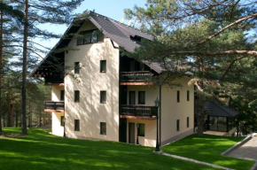  Vila Pina  Златибор
